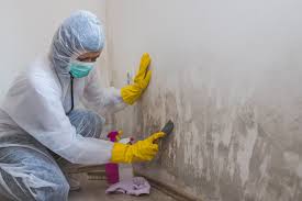 Best Real Estate Mold Inspection  in Adamsville, AL